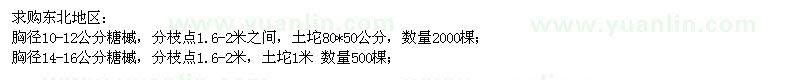 求購糖槭