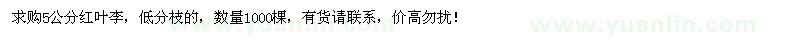 求購5公分紅葉李2000棵
