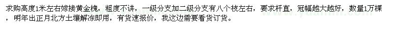 求購(gòu)高度1米左右嫁接黃金槐1萬(wàn)棵