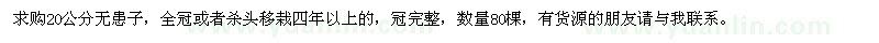 求購(gòu)20公分無(wú)患子