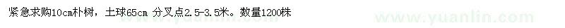求購(gòu)緊急10cm樸樹(shù)