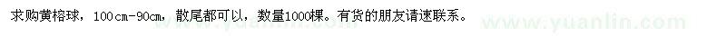 求購100cm-90cm黃榕球