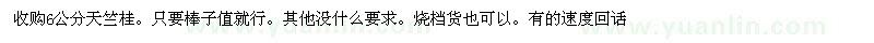 求購6公分天竺桂