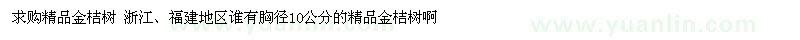 求購精品金桔樹