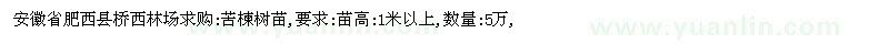 求購苦楝樹苗