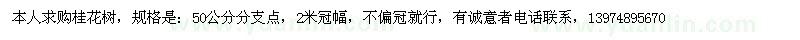 求購(gòu)桂花樹(shù)