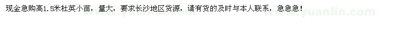 求購大量高1.5米杜英小苗