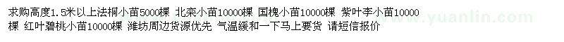 求購法桐 北欒小苗 國槐小苗 紫葉李小苗