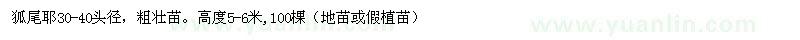 求購(gòu)狐尾耶30-40頭徑，粗壯苗。