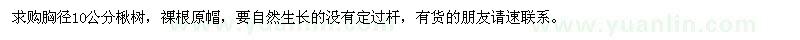 求購(gòu)胸徑10公分楸樹
