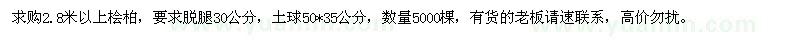 求購(gòu)2.8米以上檜柏