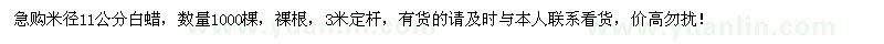 求購米徑11公分白蠟1000棵