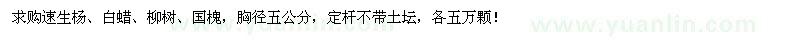 求購(gòu)速生楊、白蠟、柳樹(shù)、國(guó)槐胸徑五公分