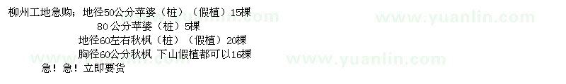 求購秋楓,蘋婆