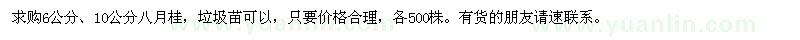 求購6公分,10公分八月桂,