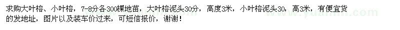求購大葉榕,小葉榕,