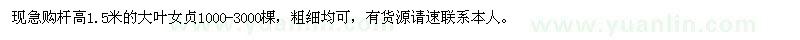 求購大葉女貞