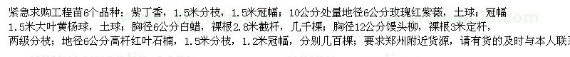 求購紫丁香、玫瑰紅紫薇、大葉黃楊球等苗木