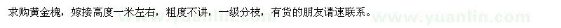 求購(gòu)黃金槐