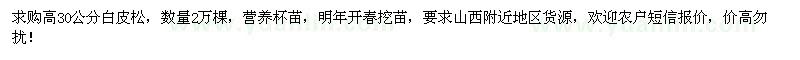 求購高30公分白皮松2萬棵