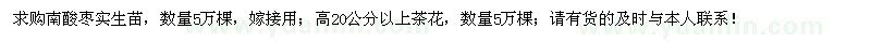 求購(gòu)茶花、南酸棗實(shí)生苗各5萬(wàn)棵