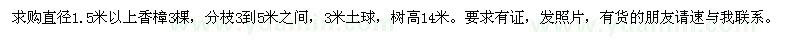 求購直徑1.5米以上香樟