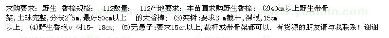 求購野生香樟、欒樹、香泡