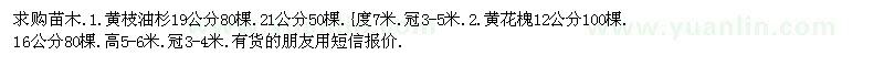 求購黃枝油杉、黃花槐