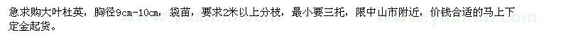 求購胸徑9cm-10cm大葉杜英