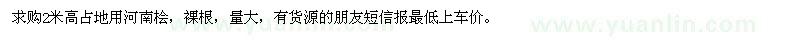 求購2米高占地用河南檜