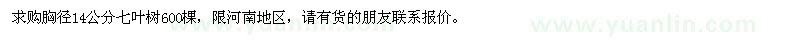 求購(gòu)胸徑14公分七葉樹600棵