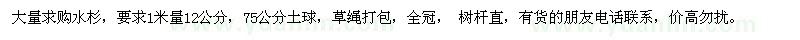 求購1米量12公分水杉
