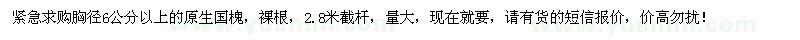 求購(gòu)胸徑6公分以上原生國(guó)槐