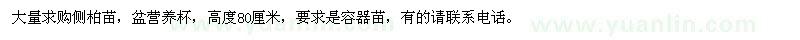 求購盆營養(yǎng)杯的側(cè)柏苗