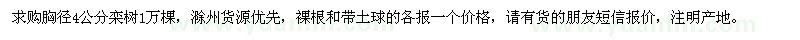 求購胸徑4公分欒樹1萬棵