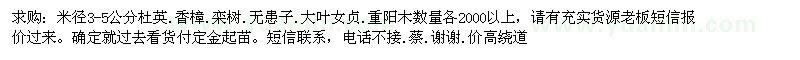 求購杜英。香樟。欒樹。無患子