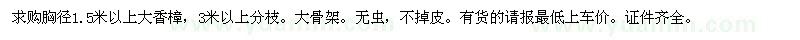 求購1.5米以上大香樟樹。3米以上分支。大骨架、