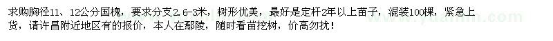 求購(gòu)胸徑11、12公分國(guó)槐100棵