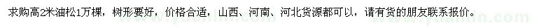 求購高2米油松1萬棵