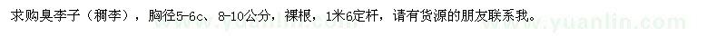 求購胸徑5-6c、8-10公分臭李子