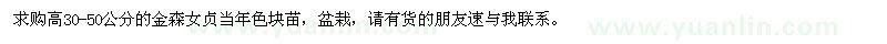 求購高30-50公分金森女貞