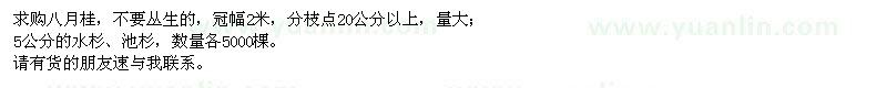 求購八月桂、水杉、池杉