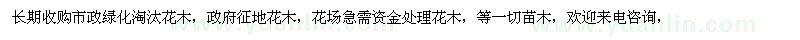 求購市政淘汰花木、政府征地花木。
