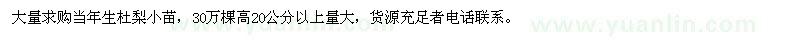 求購高20公分以上杜梨小苗 