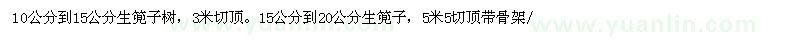 求購(gòu)欒樹(shù)
