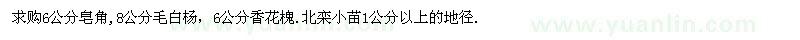 求購皂角、毛白楊、香花槐、北欒小苗