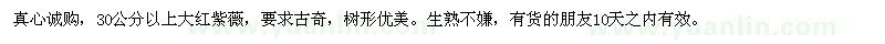 求購30公分以上大紅紫薇