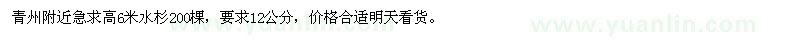 求購高6米水杉