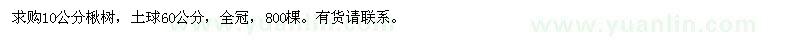 求購(gòu)10公分楸樹