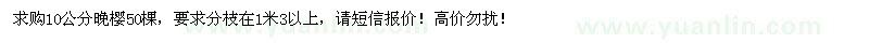 求購10公分晚櫻